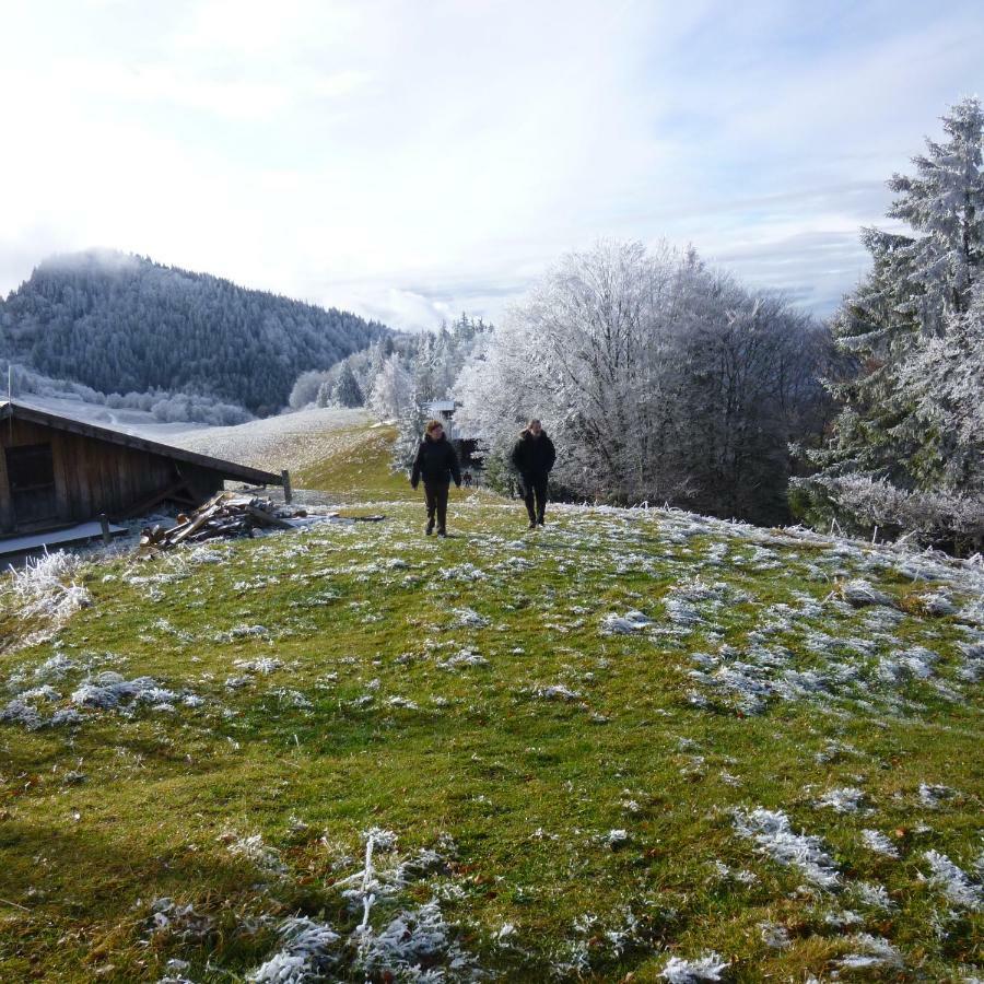 Les Sapins Blancs Apartamento Vacheresse Exterior foto