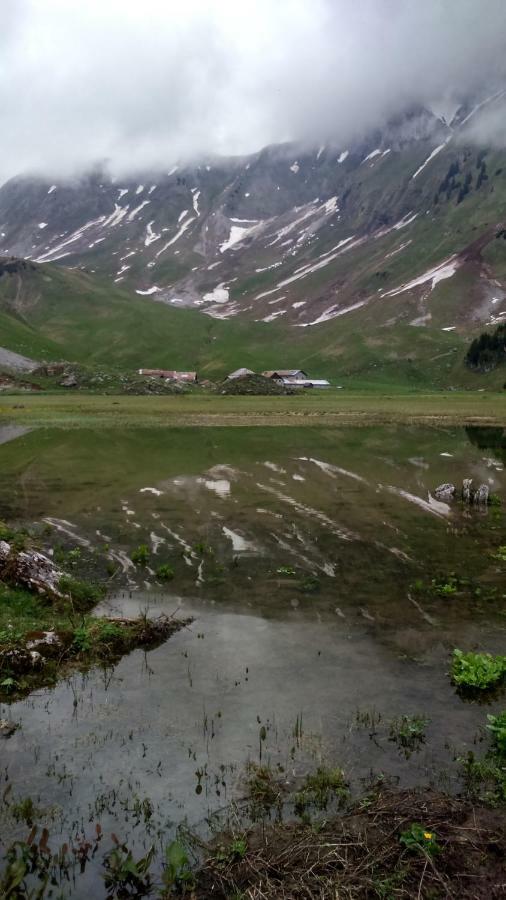 Les Sapins Blancs Apartamento Vacheresse Exterior foto